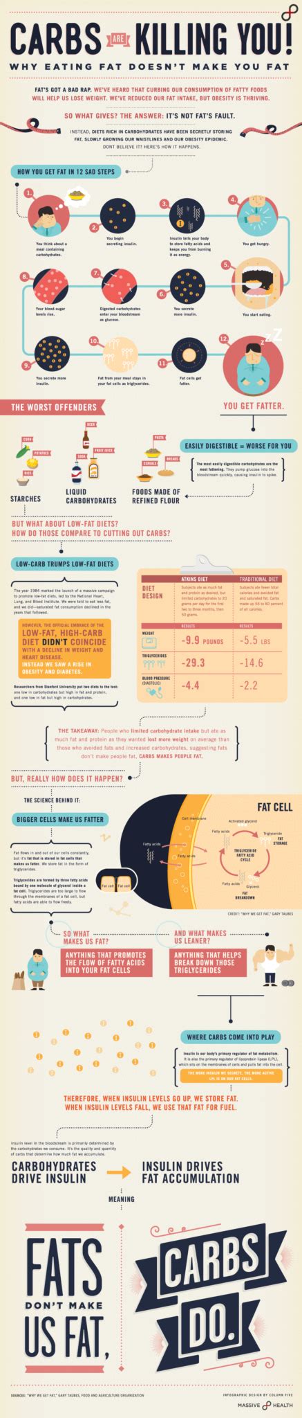 Infographic The Science Of Fat The Kelsey Report