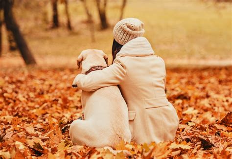 Many people have found their soulmate in a pet - Earth.com