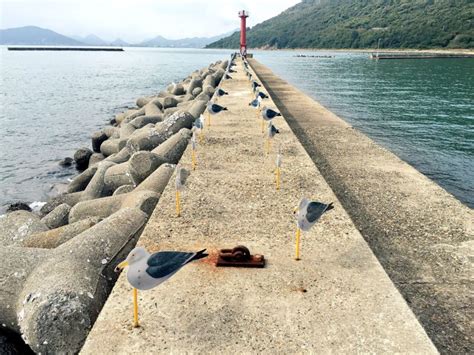 Risk mitigation is the process of reducing the impact of a risk or the likelihood of a risk being realized. Covering coasts with concrete: Japan looks to Tetrapods to battle elements | Ars Technica