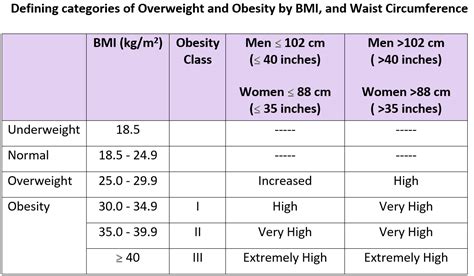 Body Mass Index Bmi And Obesity Health Impact And Risks