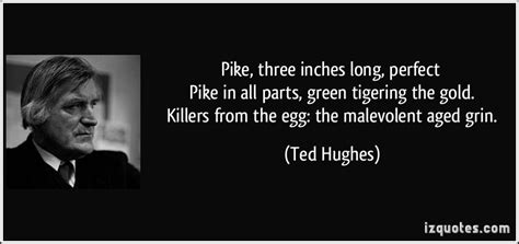 — ted hughes ( 01:03 ) nobody wanted your dance, nobody wanted your strange glitter, your floundering drowning life and your effort to save yourself, treading water, dancing the dark turmoil. Ted Hughes's quotes, famous and not much - Sualci Quotes 2019