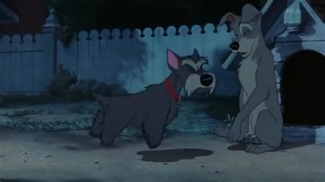 Yarn Lady And The Tramp Mongrel ~ Lady And The Tramp