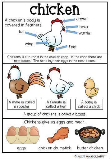 Farm Animals Posters Anchor Charts In 2020 Farm Animals