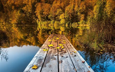 Free Photo Autumn Lake Scenic Pink Pond Free Download Jooinn