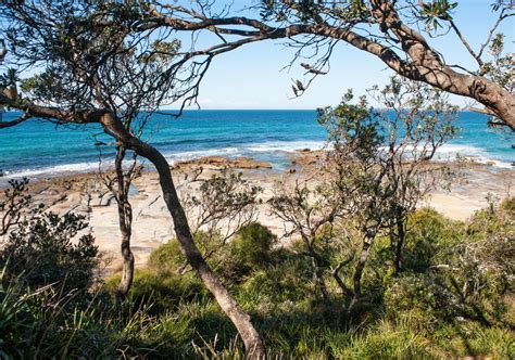 Bawley Point Nsw Plan A Holiday Beach Maps And Accommodation