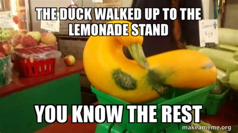the duck walked up to the lemonade stand you know the rest gourd advice mallard make a meme