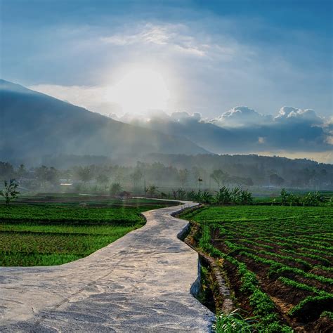 Sudah Ke Desa Wisata Alamendah Kabupaten Bandung Cobain 4 Aktivitas