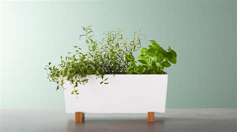 Indoor Plant Pots And Hanging Planters Ikea