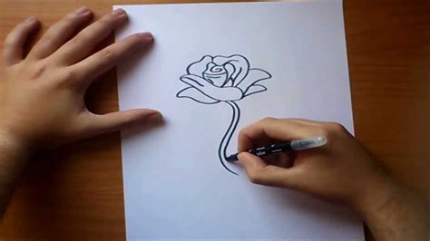 Como Dibujar Una Rosa Paso A Paso How To Draw A Rose