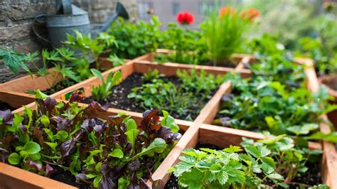 Square Foot Gardening What It Is And How To Get Started