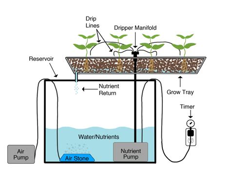 Hydroponic System Deep Water Culture Make Aquaponics