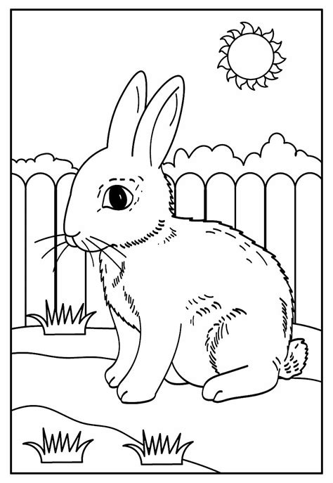 Desenhos De Coelhos Em Pdf Para Colorir Desenhos Imprimir Pdmrea The Porn Sex Picture