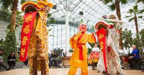 Mengikut kajian, thaipusam dapat menyatupadukan semua penganut hindu dari pelbagai ladang dan bandar yang. Perayaan Perayaan Agama di Malaysia: Perayaan Kaum Cina