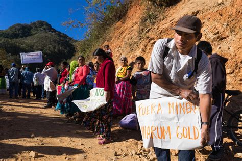 ¿por Qué Crece El Rechazo Local Y Global A La Minería En La Selva De