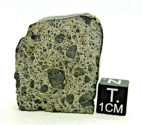 Achondrite Meteorite Nwa 12537 Eucrite Genomict Breccia From Outer