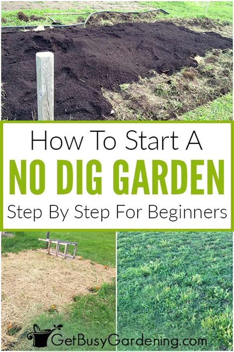 No Dig Gardening 101 How To Start A No Till Garden Dig