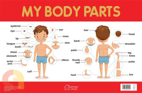 Best website for tamil typing, tamil translation and english to tamil dictionary. My Body Parts Chart | Buy Tamil & English Books Online ...