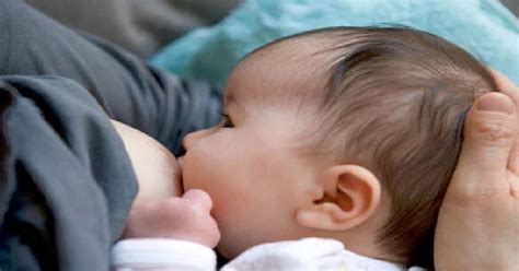 Final Take Here Is What Scientists Say If Breastfed Babies Tend To Be