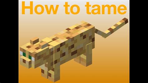 How To Tame A Ocelot In Minecraft 2021 Full Guide117 Youtube
