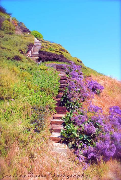 17 Best Images About Stairway To Heaven On Pinterest Gardens