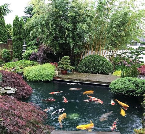 🎋🎍🐟💦beautiful Private Japanese Garden With An Amazing Koi Pond In