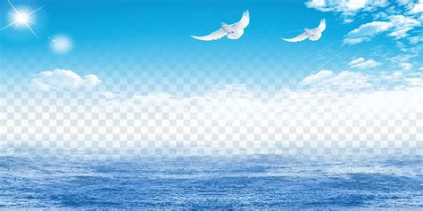 Dos Palomas Blancas Volando Sobre El Océano Azul Durante El Día Mar