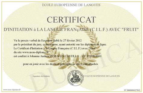 Certificat D Initiation A La Langue Francaise Cilf Avec Fruit