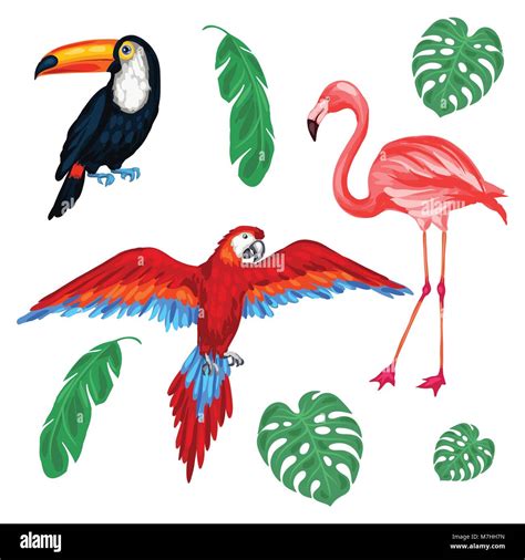 Set Of Tropical Birds And Palm Leaves Stock Vector Image And Art Alamy