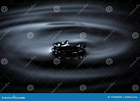 Water Dripping Or Water Ripples In A Pond Stock Image Image Of Cold