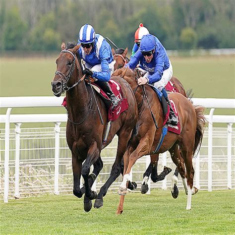 11戦10勝のバーイードと海外重賞6勝馬を兄に持つ期待馬 名門厩舎から今シーズンデビュー予定 2022年10月18日掲載 ライブドアニュース