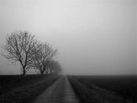25 Spooky And Creepy Black And White Photos Light Stalking