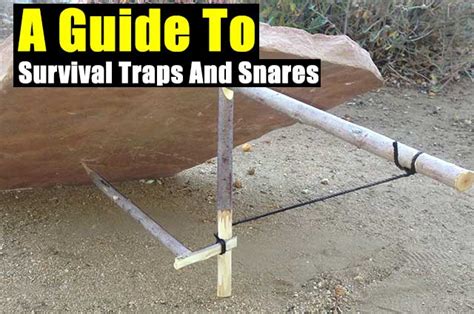 A Guide To Survival Traps And Snares Shtf Prepping And Homesteading Central