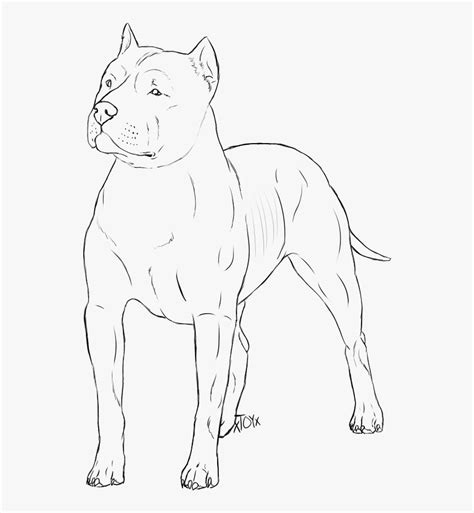 Mean Dog Drawing Crazywidow Info Line Art Hd Png Download Kindpng