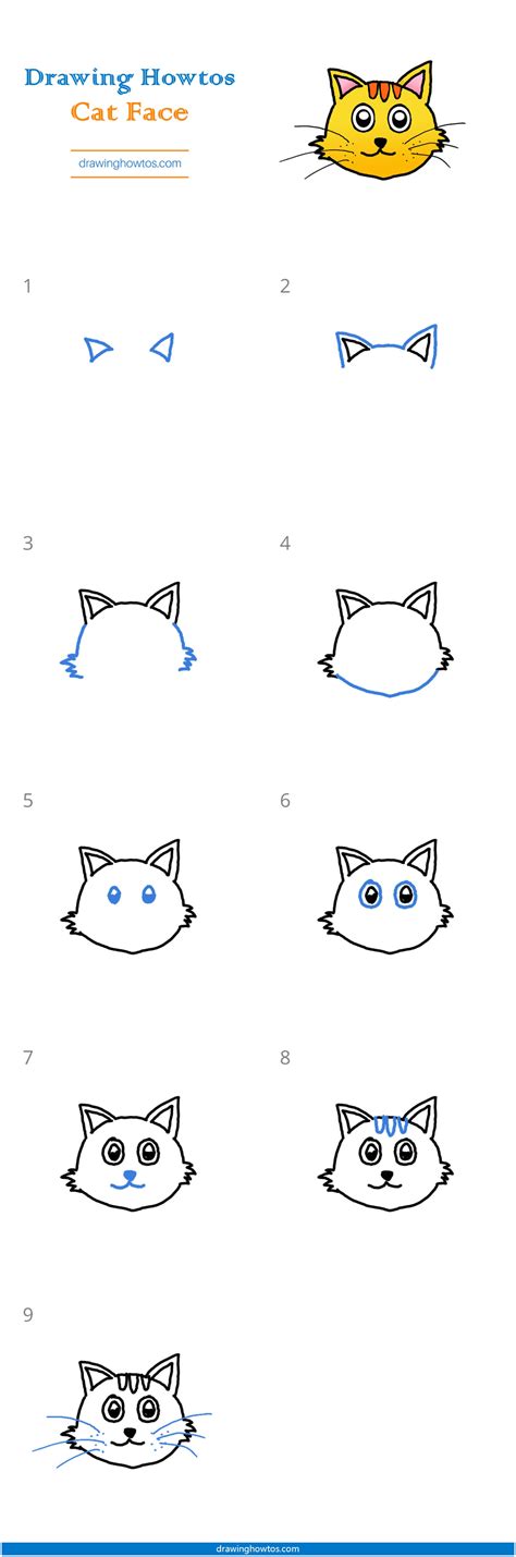 How To Draw A Cat Face Easy Bmp Bahah