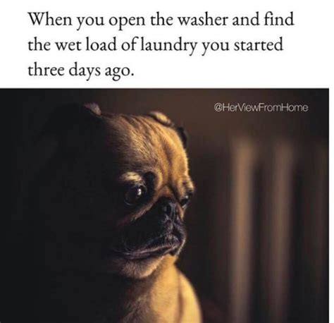 31 Of The Most Depressing Memes We Could Stomach Gallery