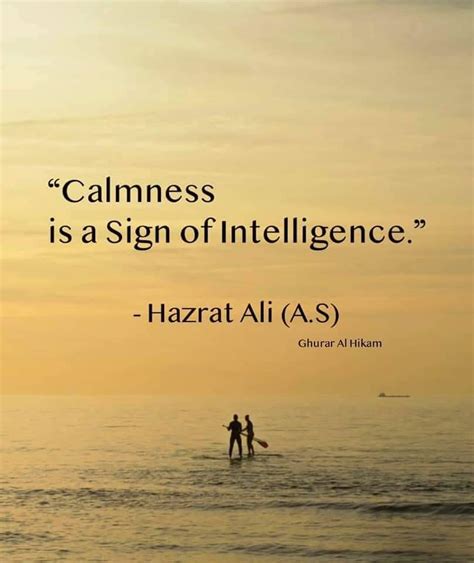 Best Imam Ali Sayings And Quotes Skardu Pk