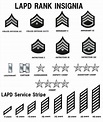 Rank Structure - LAPD Online (2022)