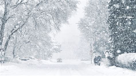 Snowstorm In Montreal Up To 25 Cm Of Snow Expected Wednesday Evening