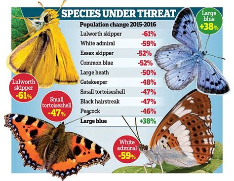 Decline In Numbers Recorded 40 Out Of 57 Butterfly Species Daily Mail
