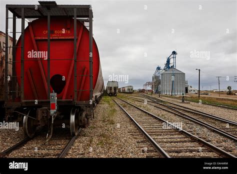 Freight Grain Trucks On Canadian Pacific Railway At Assiniboia Depot