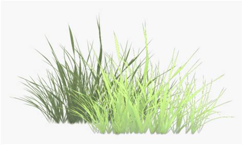 Grass Alpha Texture