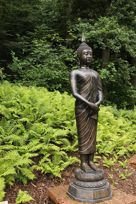 Ingyenes Képek Fa Emlékmű Szobor Növénytan Kert Japán Zen