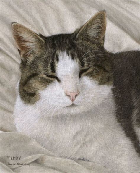Beautiful Cat Portrait In Oil Paints By Artist Rachel Stribbling