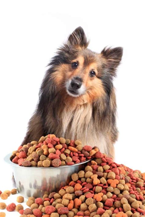 Tractor supply claims also that their pet food is made with premium ingredients. 4Health Dog Food Reviews 🦴 Puppy food recalls 2020 🦴 ...