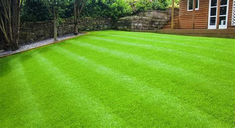How To Get Bermuda Grass To Spread Lawncare