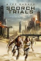 Maze Runner: The Scorch Trials (2015) - Posters — The Movie Database (TMDB)