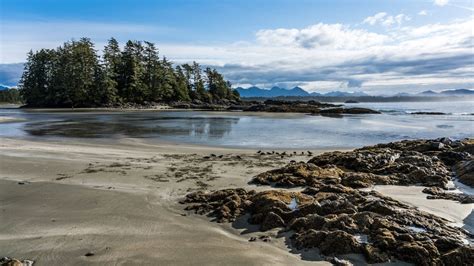 Cant Decide Between Ucluelet Or Tofino Learn The Key Differences