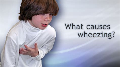 Hie Multimedia What Causes Wheezing