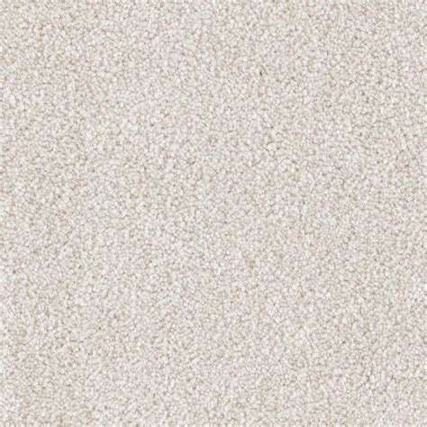 We did not find results for: PetProof Carpet Sample - Silver Mane I - Color Quiet Taupe ...