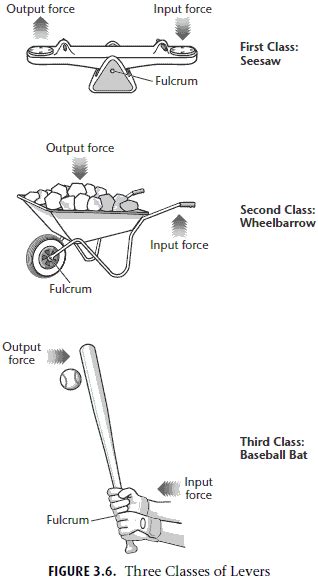 Third Class Lever Examples